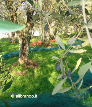 Fotografia del mese di Maggio